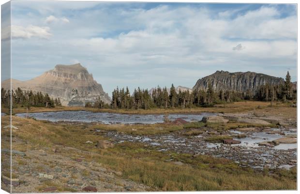 Mt Reynolds and Heavy Runner from Logan Pass Canvas Print by Belinda Greb