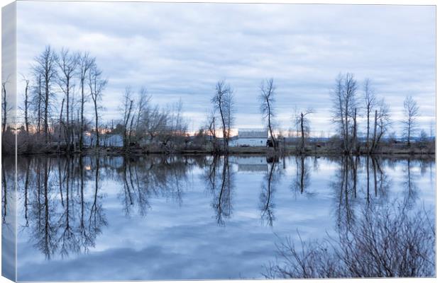 Reflection in Blue Canvas Print by Belinda Greb