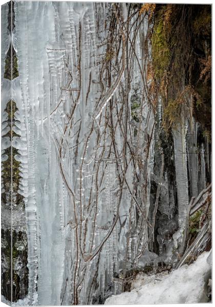 Icicles, No. 5 Canvas Print by Belinda Greb