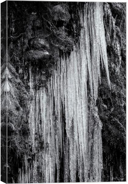 Icicles, No. 2 bw Canvas Print by Belinda Greb
