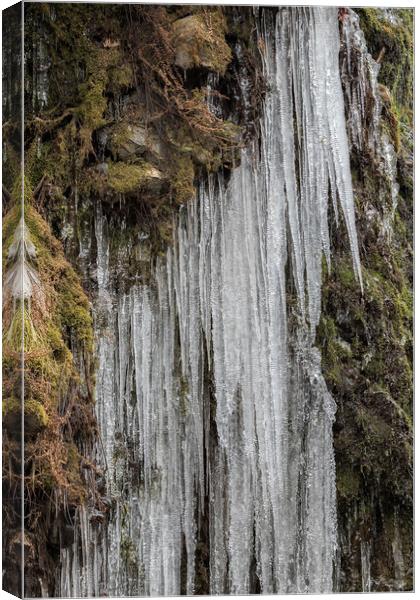 Icicles, No. 5 Canvas Print by Belinda Greb