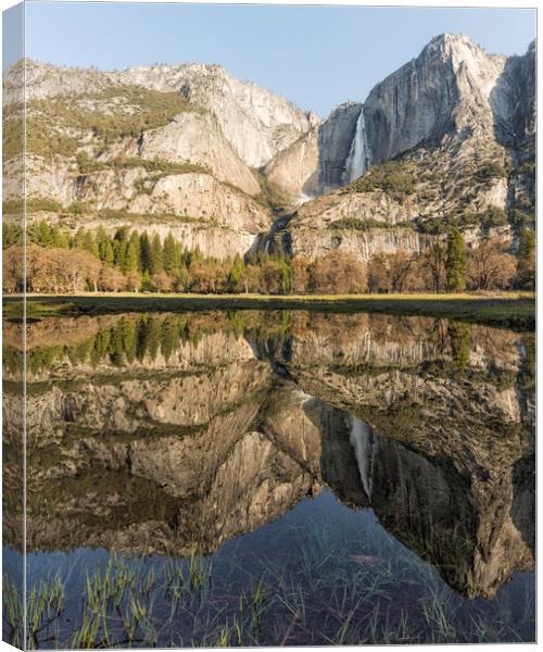 View of Yosemite Falls from Cook's Meadow Canvas Print by Belinda Greb