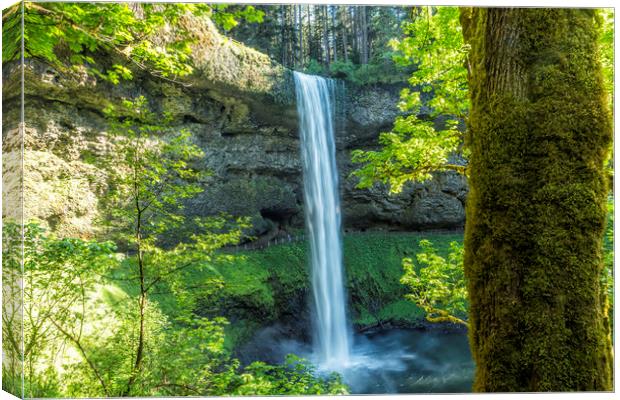 South Falls During Spring Canvas Print by Belinda Greb