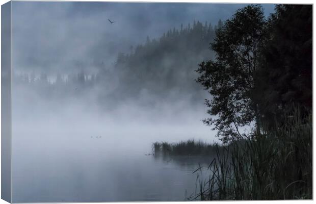 Mist and Silhouettes on the Lake Canvas Print by Belinda Greb
