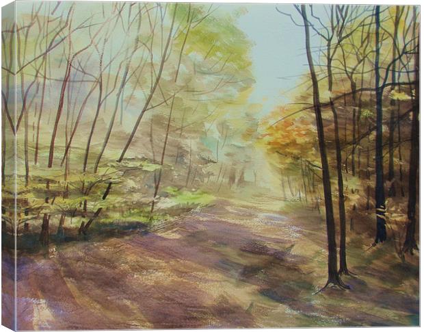 Ashridge Woods Canvas Print by Martin Howard