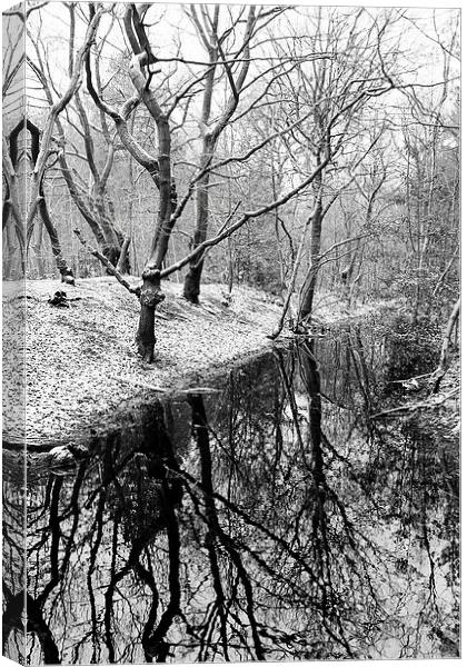 Joydens Wood in Winter Canvas Print by Richard Cruttwell