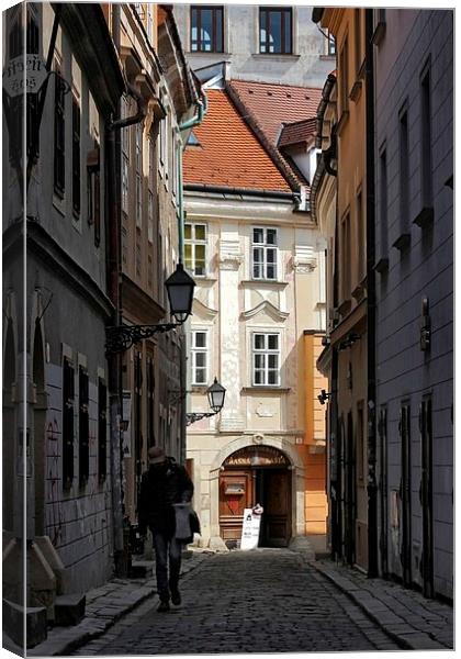 Bratislava, Slovakia Canvas Print by Richard Cruttwell
