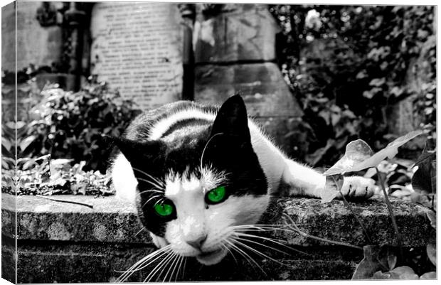 Cat in Highgate Cemetery. Canvas Print by Richard Cruttwell