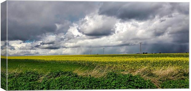 Stormy Sky Canvas Print by Richard Cruttwell