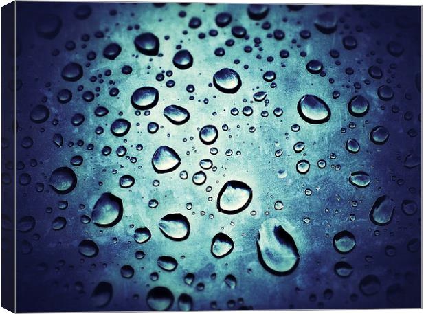 Rain Drops Canvas Print by Scott Anderson