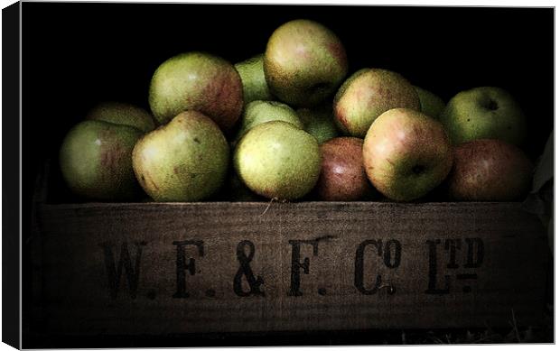 Apple Crate Canvas Print by Scott Anderson