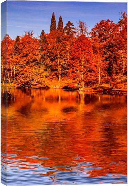 Autumnal Colours Canvas Print by Scott Anderson