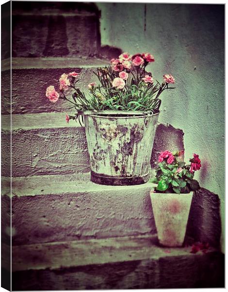 Flowers on Steps Canvas Print by Scott Anderson