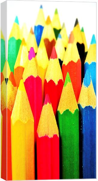Coloured Pencils Canvas Print by Scott Anderson