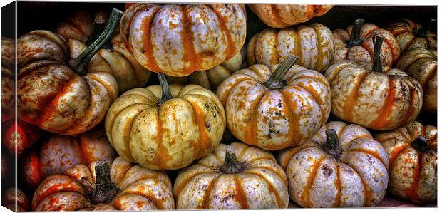 White Pumpkins Canvas Print by Scott Anderson