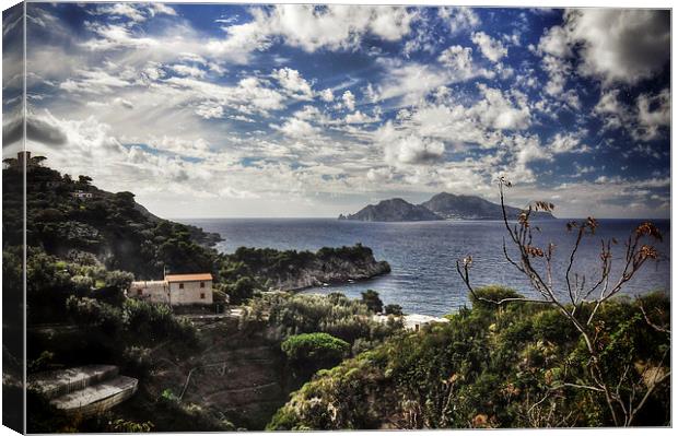 View of Capri Canvas Print by Scott Anderson