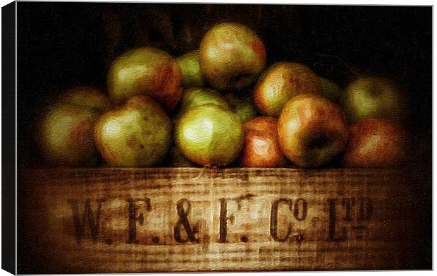 Painted Apples in Crate Canvas Print by Scott Anderson