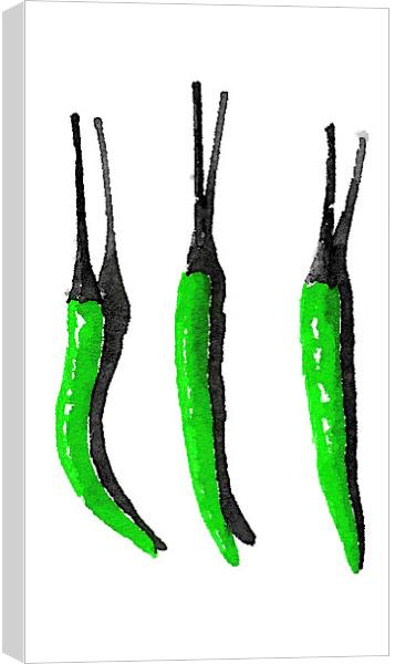 Three green peppers  Canvas Print by Scott Anderson