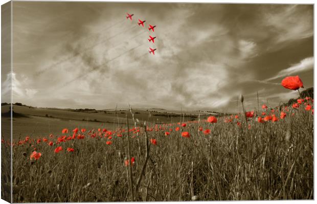 Red Arrows over Poppy Field Canvas Print by Scott Anderson