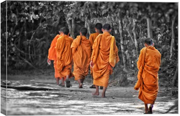 Buddhist Monks Canvas Print by Scott Anderson