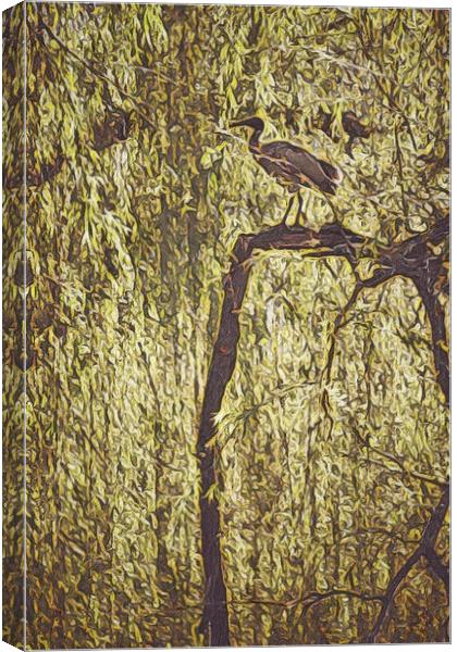Bird in Tree Canvas Print by Scott Anderson