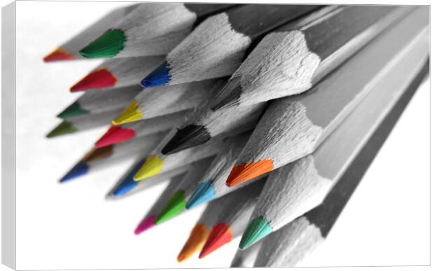 Coloured Pencils Canvas Print by Scott Anderson