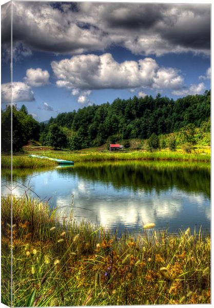 A Pond Reflection Canvas Print by Greg Mimbs
