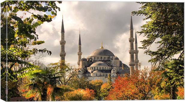 The Blue Mosque in Istanbul Canvas Print by Andy Armitage