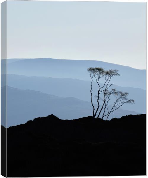Morning Blues, The Lake District Canvas Print by Dan Ward