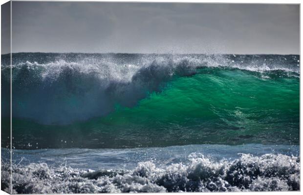 The Wave Canvas Print by Dan Ward