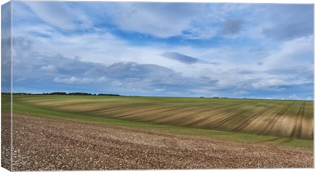 Yorkshire Wolds Canvas Print by Dan Ward