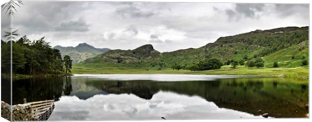 Blea tarn reflections Canvas Print by Dan Ward