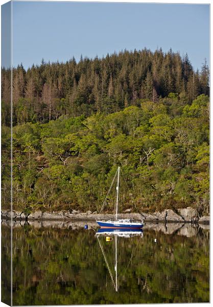 Sailing boat reflections on loch Sunart Canvas Print by Dan Ward