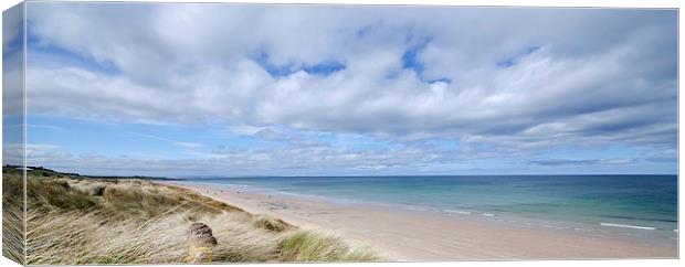 Bamburgh beach Canvas Print by Dan Ward