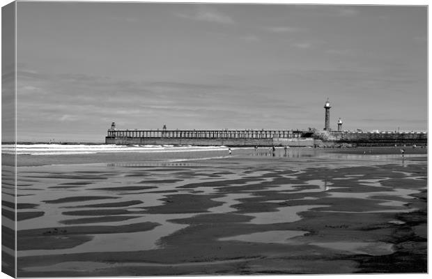 Whitby Pier and Tide Pools Canvas Print by Dan Ward