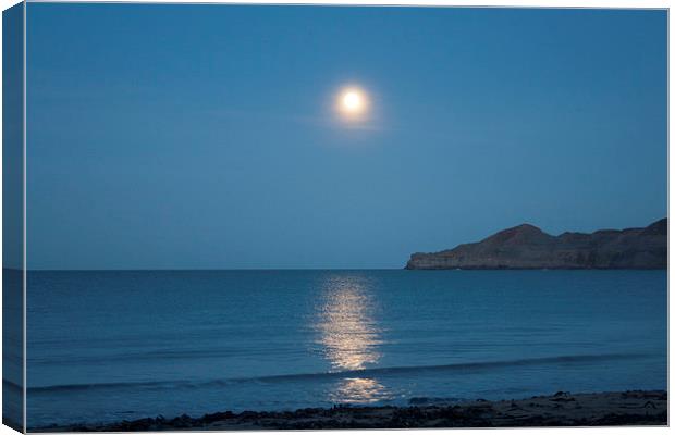 Runswick Bay Moonlight Canvas Print by Kris Armitage