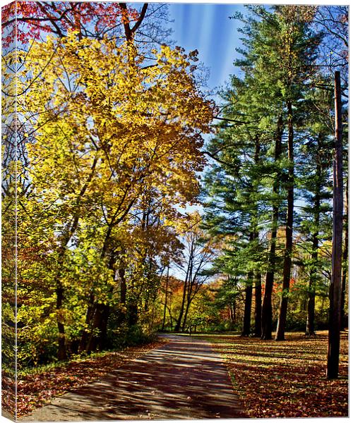 Walking Thru Fall Canvas Print by Tom and Dawn Gari