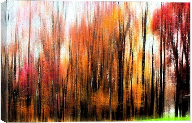 Abstract of Fall Trees Canvas Print by Tom and Dawn Gari
