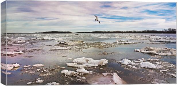 Flying over the Delaware Canvas Print by Tom and Dawn Gari