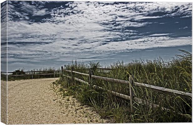 Pathway To The Sea Canvas Print by Tom and Dawn Gari