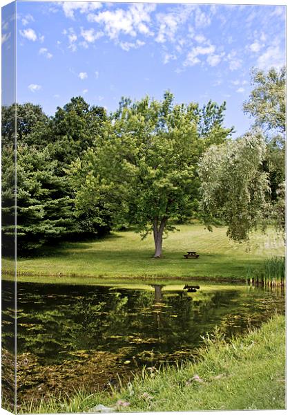  Perfect Spot For A Picnic Canvas Print by Tom and Dawn Gari