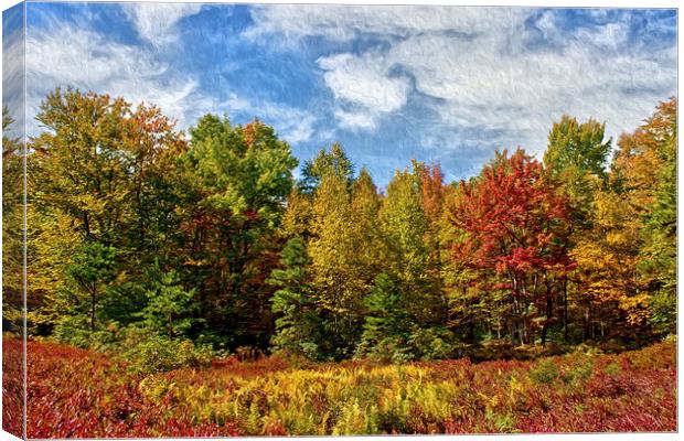  Painted Trees Of Fall Canvas Print by Tom and Dawn Gari