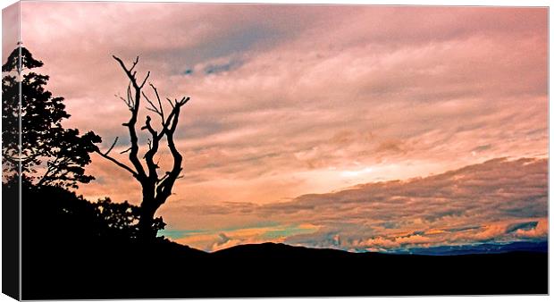  Blue Ridge Mountain Sunrise Panoramic  Canvas Print by Tom and Dawn Gari