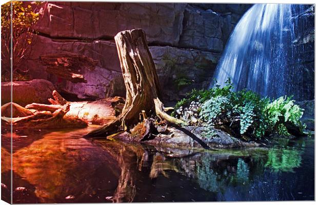  Scenic Waterfall Canvas Print by Tom and Dawn Gari