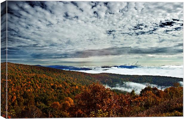  Foggy Morning Cloudy Sky Canvas Print by Tom and Dawn Gari