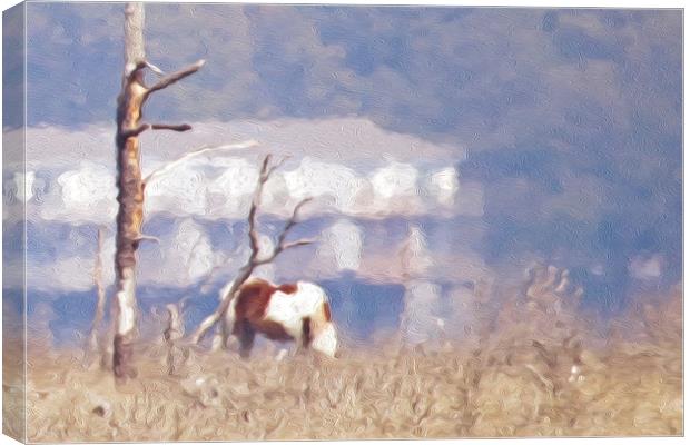  Grazing Wild Pony Canvas Print by Tom and Dawn Gari