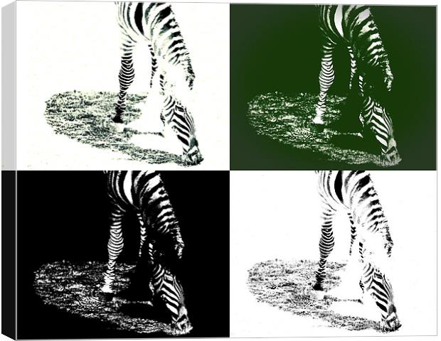  Zebra Abstract Canvas Print by Tom and Dawn Gari