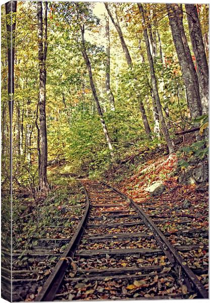  Tracks In Nature Canvas Print by Tom and Dawn Gari