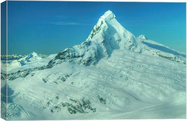 Mt Aspiring, NZ Canvas Print by Gurinder Punn