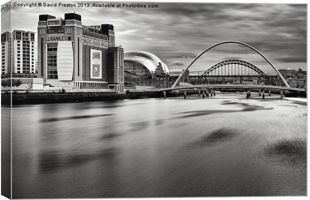 Tyne Bridges, Baltic and Sage Canvas Print by David Preston